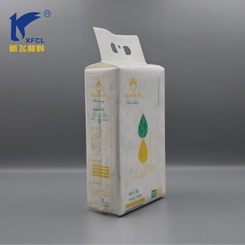 Sustainable Paper Bag