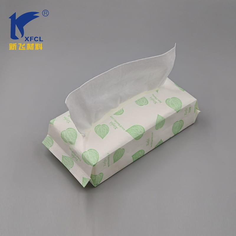 Paper Bag Eco Friendly