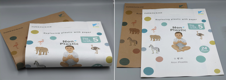 Paper Pulp Bags